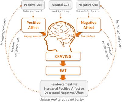 Can Mindfulness Address Maladaptive Eating Behaviors? Why Traditional Diet Plans Fail and How New Mechanistic Insights May Lead to Novel Interventions